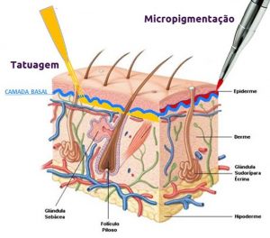 post-blog-micropig-2